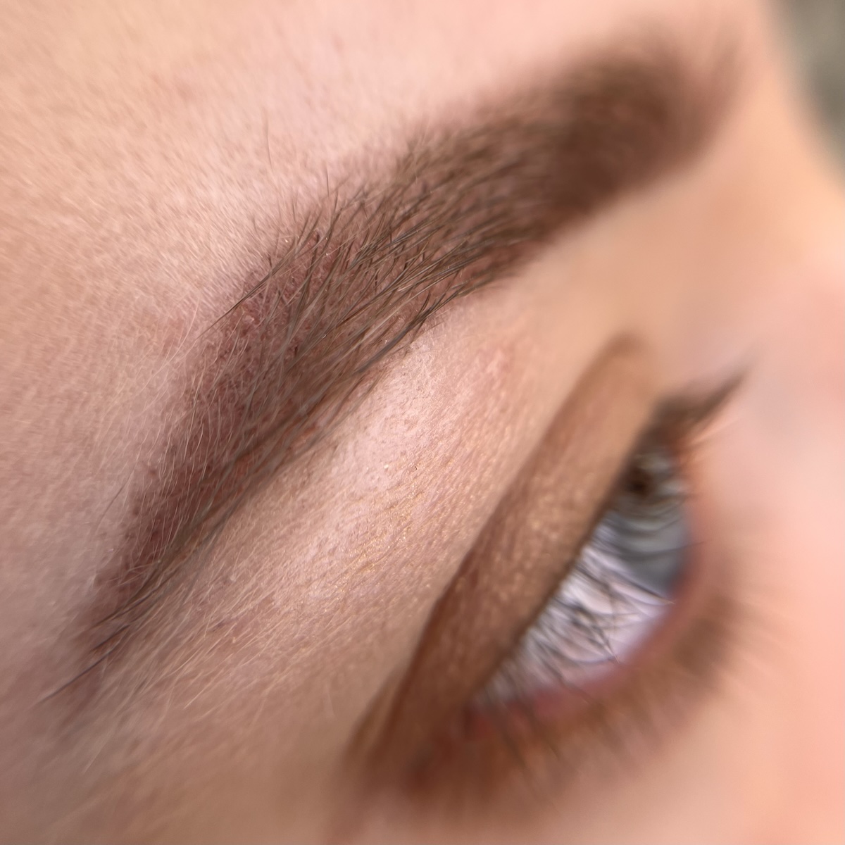 brows macro 1