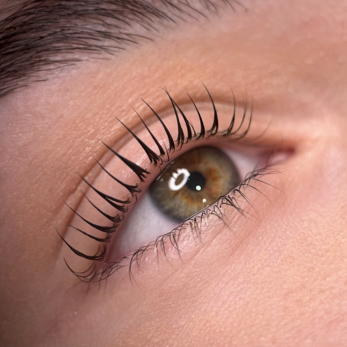 lash serv