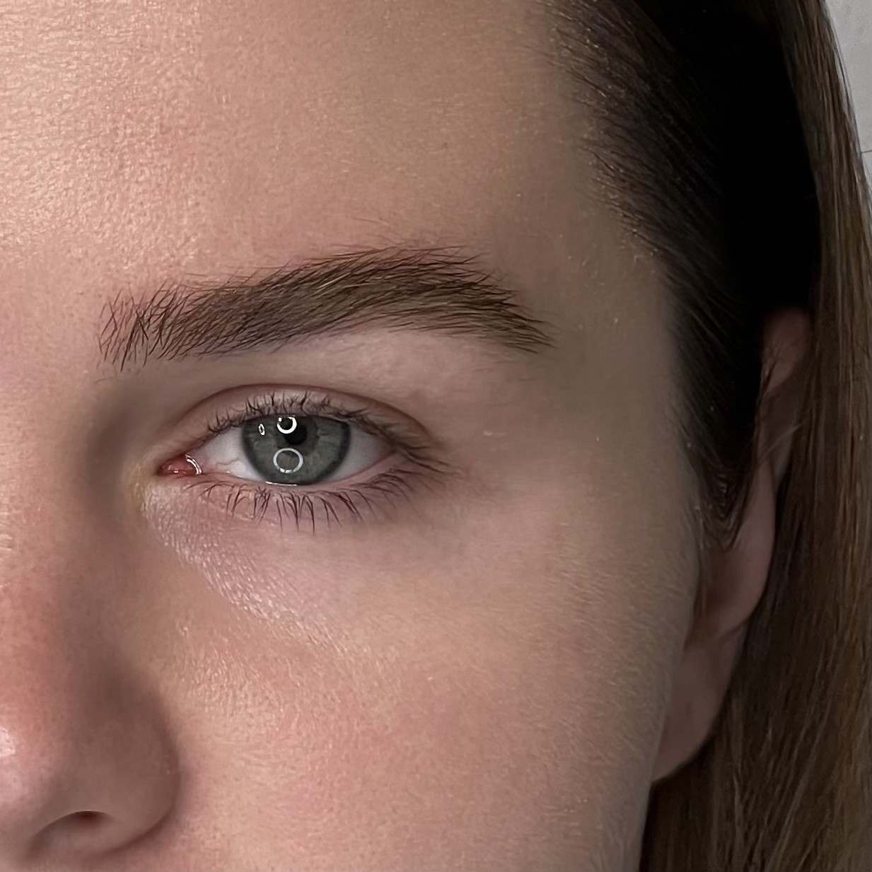masha brow