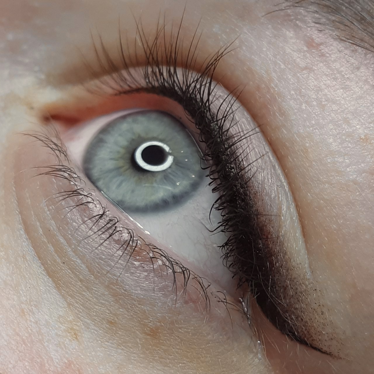 liner 2