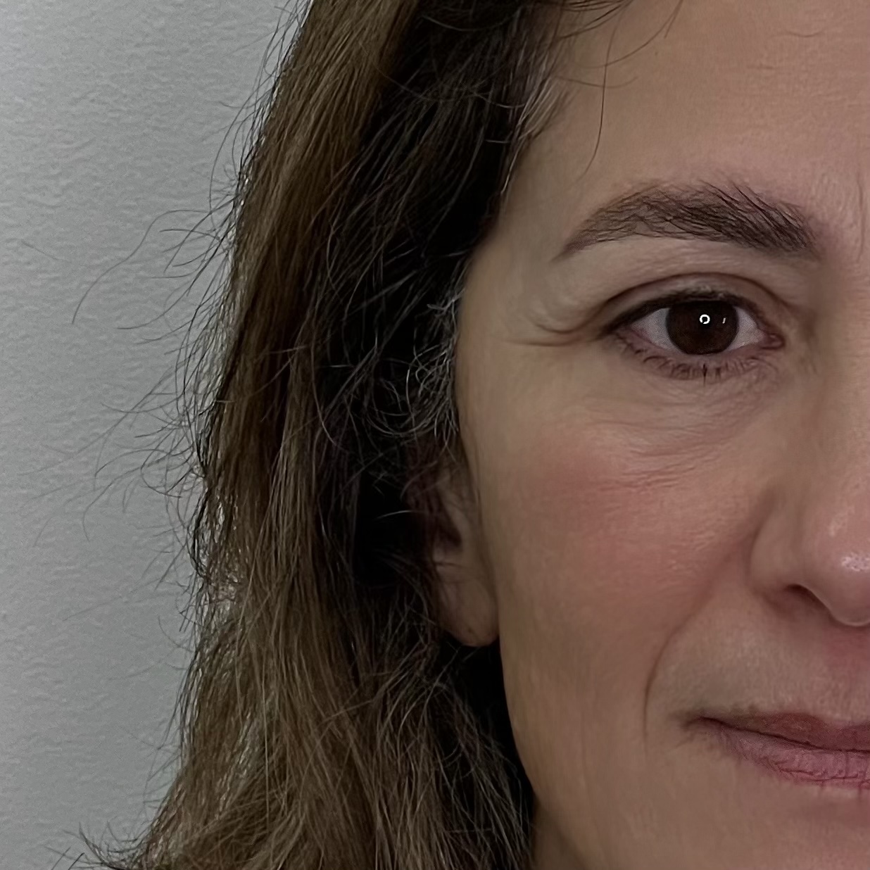 nano brows healed