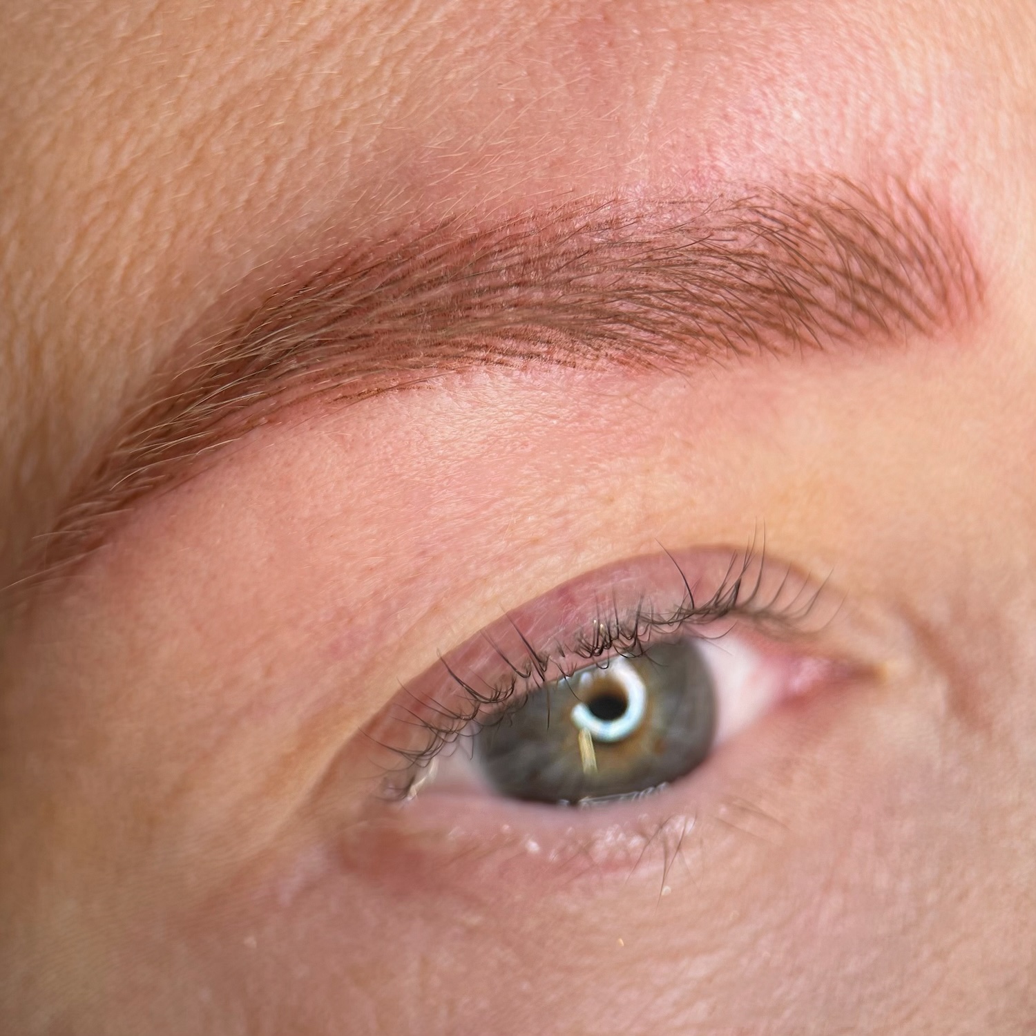 nano brows macro