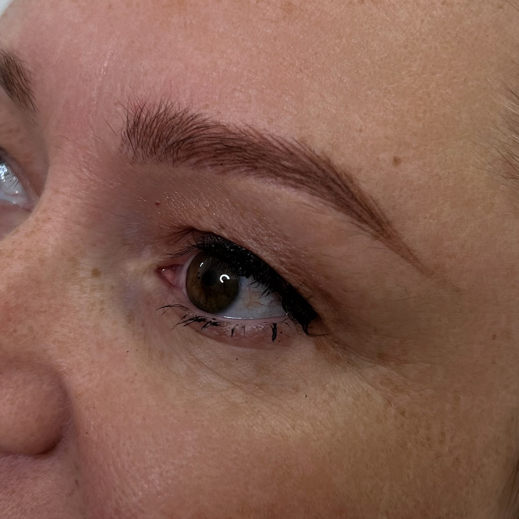 nano brows mapping