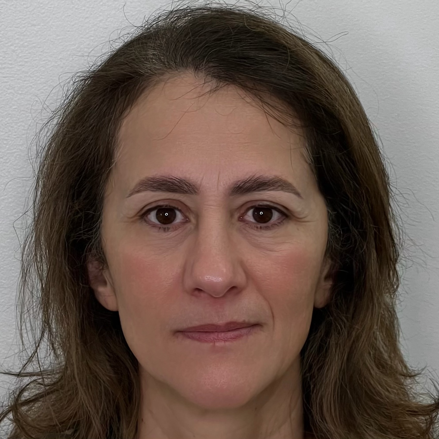 nano brows results