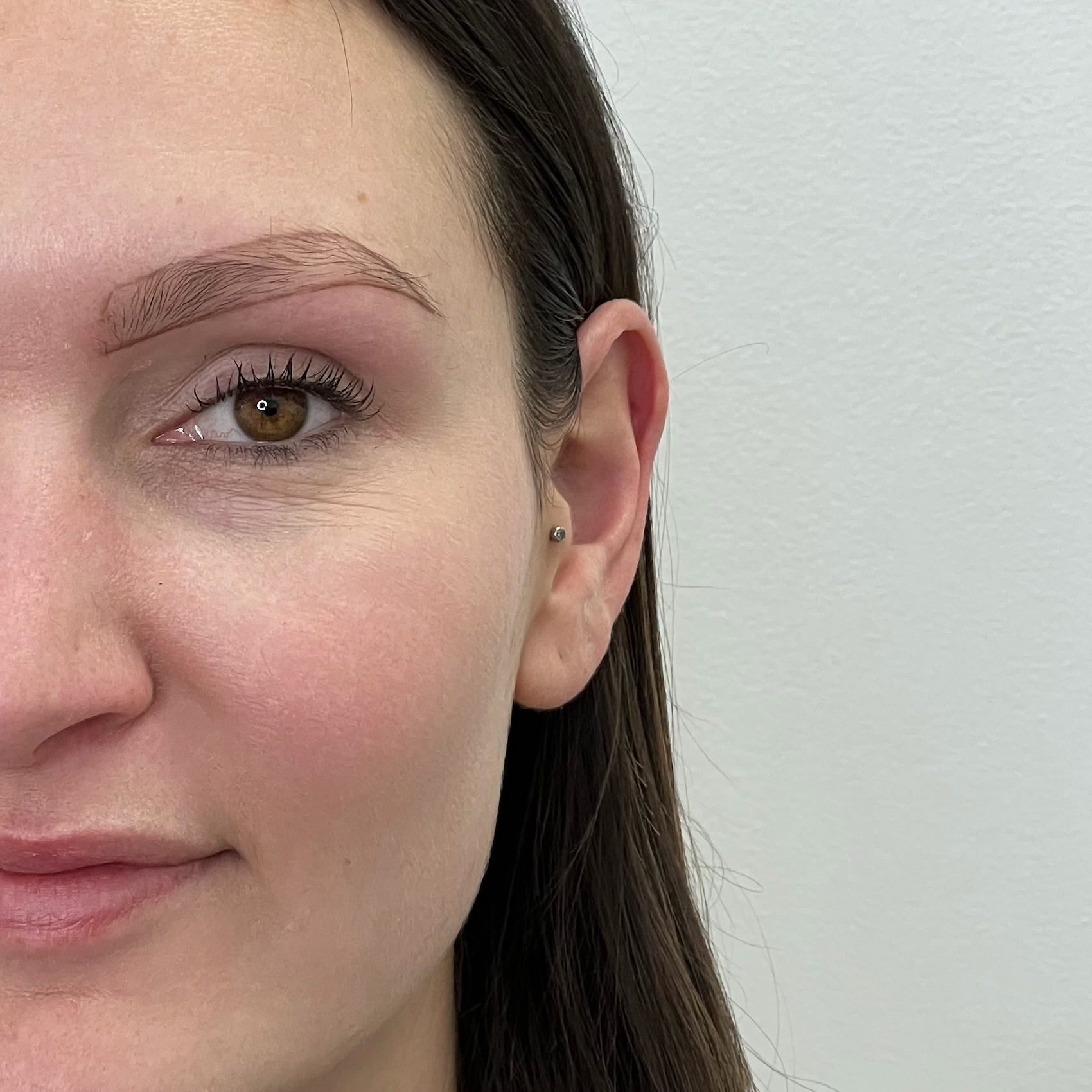 powder brows after 2